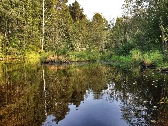 какая рыба водится на каменке. Смотреть фото какая рыба водится на каменке. Смотреть картинку какая рыба водится на каменке. Картинка про какая рыба водится на каменке. Фото какая рыба водится на каменке