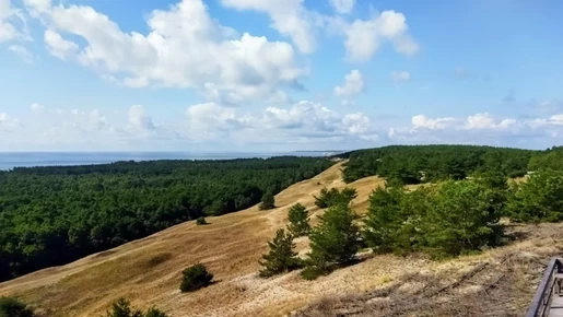 Принцесса Амбера. Куршская коса.