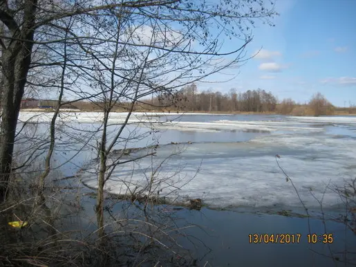 Озеро в городе