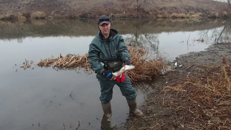 какая рыба водится в упе в тульской области. Смотреть фото какая рыба водится в упе в тульской области. Смотреть картинку какая рыба водится в упе в тульской области. Картинка про какая рыба водится в упе в тульской области. Фото какая рыба водится в упе в тульской области