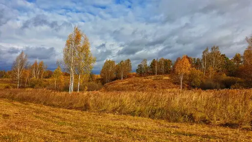 По дороге с рыбалки