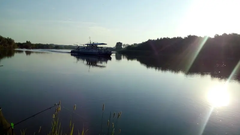 какая рыба водится в реке чарыш алтайский край. Смотреть фото какая рыба водится в реке чарыш алтайский край. Смотреть картинку какая рыба водится в реке чарыш алтайский край. Картинка про какая рыба водится в реке чарыш алтайский край. Фото какая рыба водится в реке чарыш алтайский край