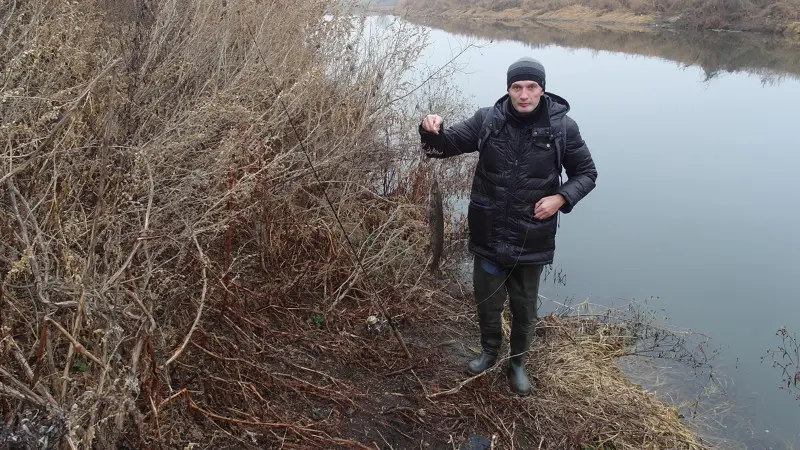 какая рыба водится в упе в тульской области. Смотреть фото какая рыба водится в упе в тульской области. Смотреть картинку какая рыба водится в упе в тульской области. Картинка про какая рыба водится в упе в тульской области. Фото какая рыба водится в упе в тульской области