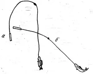 Рис. 5. Верное (а) и неправильное (б) положение удилища при вываживании.