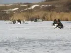 Люди сидят под берегом, ловят много карася, но мелкого.