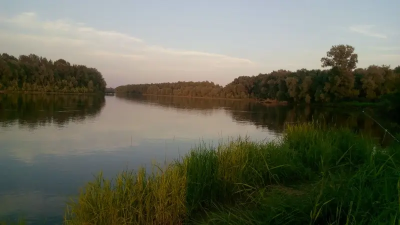 какая рыба водится в реке чарыш алтайский край. Смотреть фото какая рыба водится в реке чарыш алтайский край. Смотреть картинку какая рыба водится в реке чарыш алтайский край. Картинка про какая рыба водится в реке чарыш алтайский край. Фото какая рыба водится в реке чарыш алтайский край