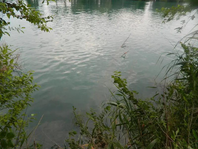 какая рыба водится в реках турции. Смотреть фото какая рыба водится в реках турции. Смотреть картинку какая рыба водится в реках турции. Картинка про какая рыба водится в реках турции. Фото какая рыба водится в реках турции