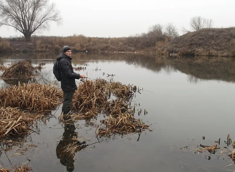 какая рыба водится в упе в тульской области. Смотреть фото какая рыба водится в упе в тульской области. Смотреть картинку какая рыба водится в упе в тульской области. Картинка про какая рыба водится в упе в тульской области. Фото какая рыба водится в упе в тульской области