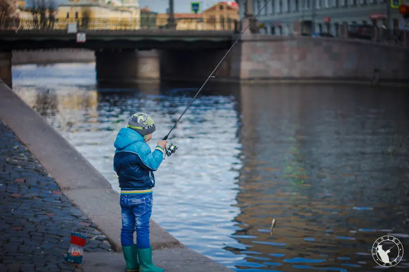 какая рыба водится в фонтанке. Смотреть фото какая рыба водится в фонтанке. Смотреть картинку какая рыба водится в фонтанке. Картинка про какая рыба водится в фонтанке. Фото какая рыба водится в фонтанке