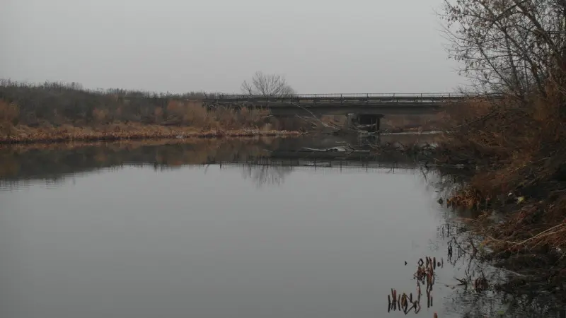 какая рыба водится в упе в тульской области. Смотреть фото какая рыба водится в упе в тульской области. Смотреть картинку какая рыба водится в упе в тульской области. Картинка про какая рыба водится в упе в тульской области. Фото какая рыба водится в упе в тульской области