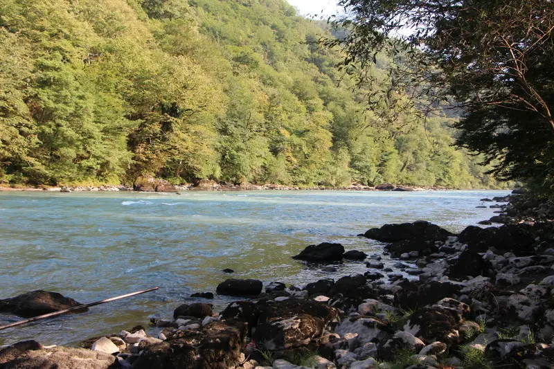 какая рыба водится в реке бзыбь в абхазии. Смотреть фото какая рыба водится в реке бзыбь в абхазии. Смотреть картинку какая рыба водится в реке бзыбь в абхазии. Картинка про какая рыба водится в реке бзыбь в абхазии. Фото какая рыба водится в реке бзыбь в абхазии