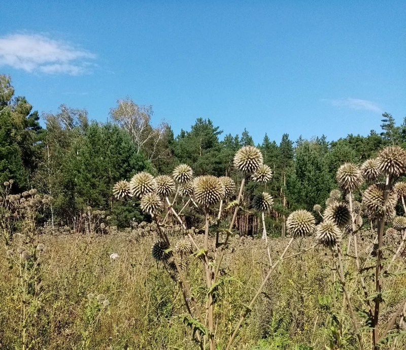 Что-то как в пустыне Южной Америки...