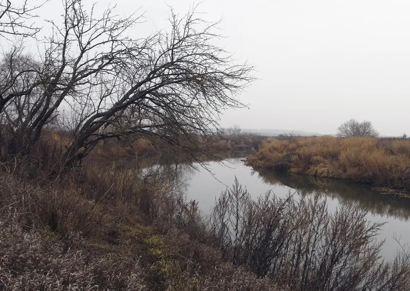 какая рыба водится в упе в тульской области. Смотреть фото какая рыба водится в упе в тульской области. Смотреть картинку какая рыба водится в упе в тульской области. Картинка про какая рыба водится в упе в тульской области. Фото какая рыба водится в упе в тульской области