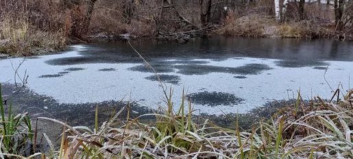 Уже скоро! На всех водоемах страны! )))