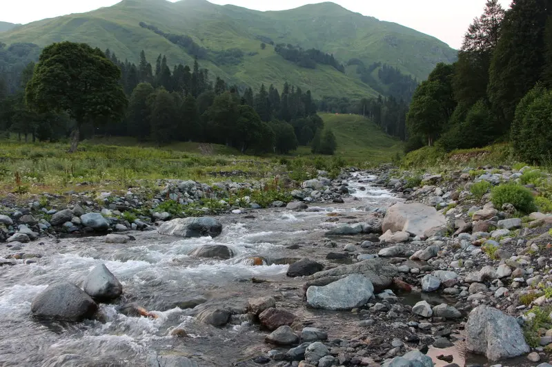 какая рыба водится в реке бзыбь в абхазии. Смотреть фото какая рыба водится в реке бзыбь в абхазии. Смотреть картинку какая рыба водится в реке бзыбь в абхазии. Картинка про какая рыба водится в реке бзыбь в абхазии. Фото какая рыба водится в реке бзыбь в абхазии