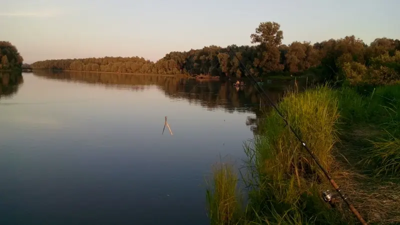 какая рыба водится в реке чарыш алтайский край. Смотреть фото какая рыба водится в реке чарыш алтайский край. Смотреть картинку какая рыба водится в реке чарыш алтайский край. Картинка про какая рыба водится в реке чарыш алтайский край. Фото какая рыба водится в реке чарыш алтайский край