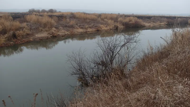 какая рыба водится в упе в тульской области. Смотреть фото какая рыба водится в упе в тульской области. Смотреть картинку какая рыба водится в упе в тульской области. Картинка про какая рыба водится в упе в тульской области. Фото какая рыба водится в упе в тульской области