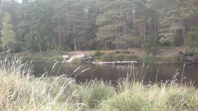 какая рыба водится в яхреньгском озере. Смотреть фото какая рыба водится в яхреньгском озере. Смотреть картинку какая рыба водится в яхреньгском озере. Картинка про какая рыба водится в яхреньгском озере. Фото какая рыба водится в яхреньгском озере