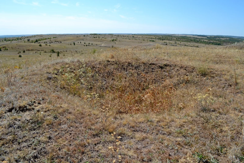 Говорят, что здесь было монголо-татарское захоронение. Приезжали археологии, копали. Говорили...