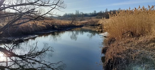 Почти мороз и солнце...