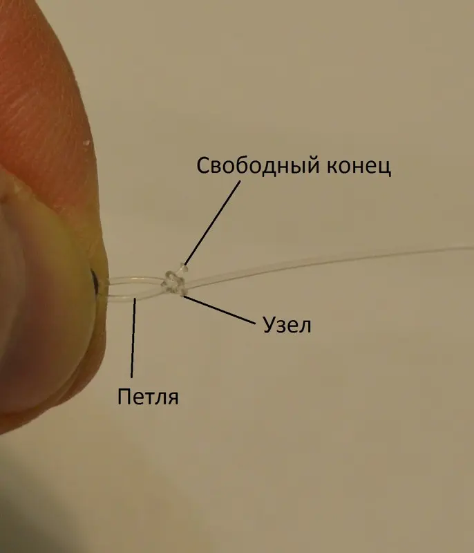 6. Этап — после затягивания получаем узел и петельку, а свободный конец обрезаем.