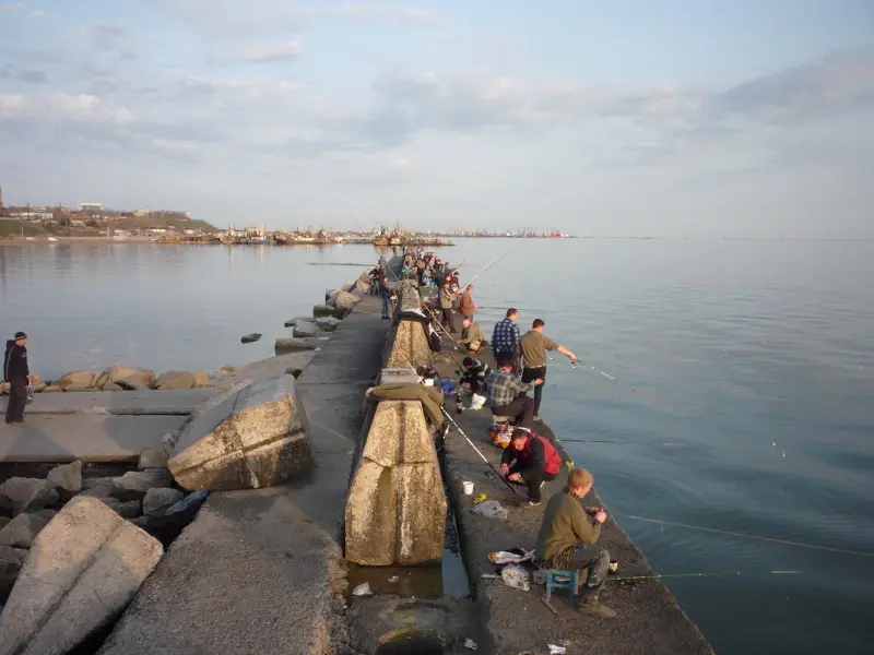 какую рыбу ловят на азовском море на спиннинг. картинка какую рыбу ловят на азовском море на спиннинг. какую рыбу ловят на азовском море на спиннинг фото. какую рыбу ловят на азовском море на спиннинг видео. какую рыбу ловят на азовском море на спиннинг смотреть картинку онлайн. смотреть картинку какую рыбу ловят на азовском море на спиннинг.